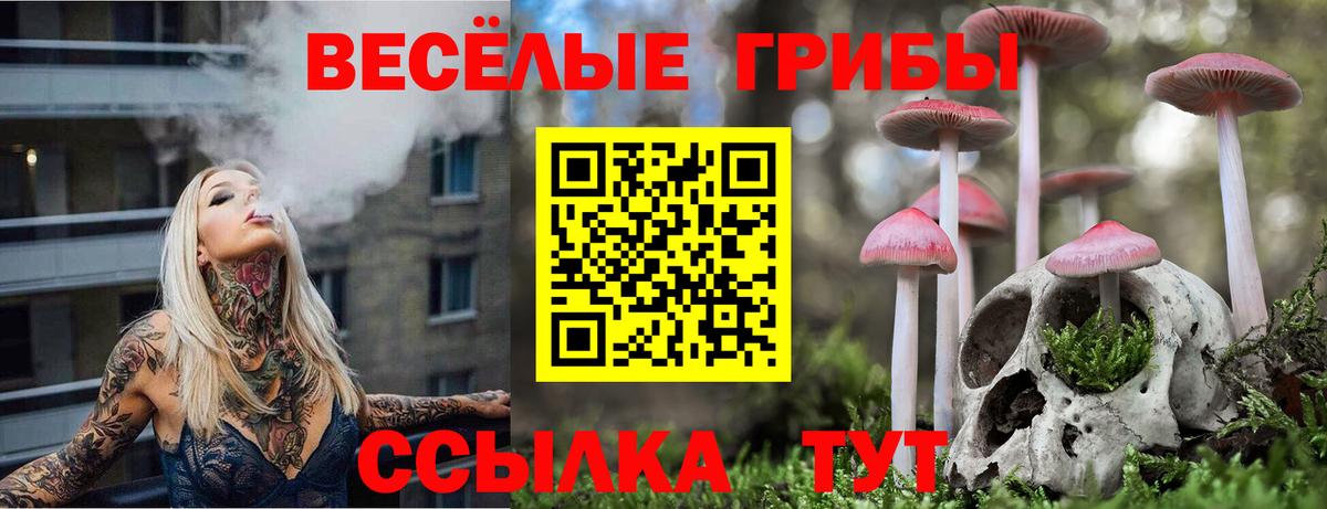 Галлюциногенные грибы мухоморы Бердск