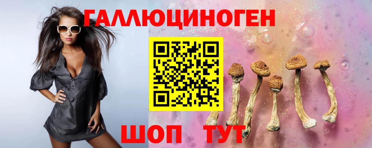Псилоцибиновые грибы ЛСД  где можно купить   Бердск  Галлюциногенные грибы прущие грибы  Вход с VPN 